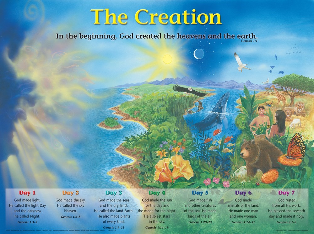Chart-Creation Wall (Laminated Sheet) (19" x 26")