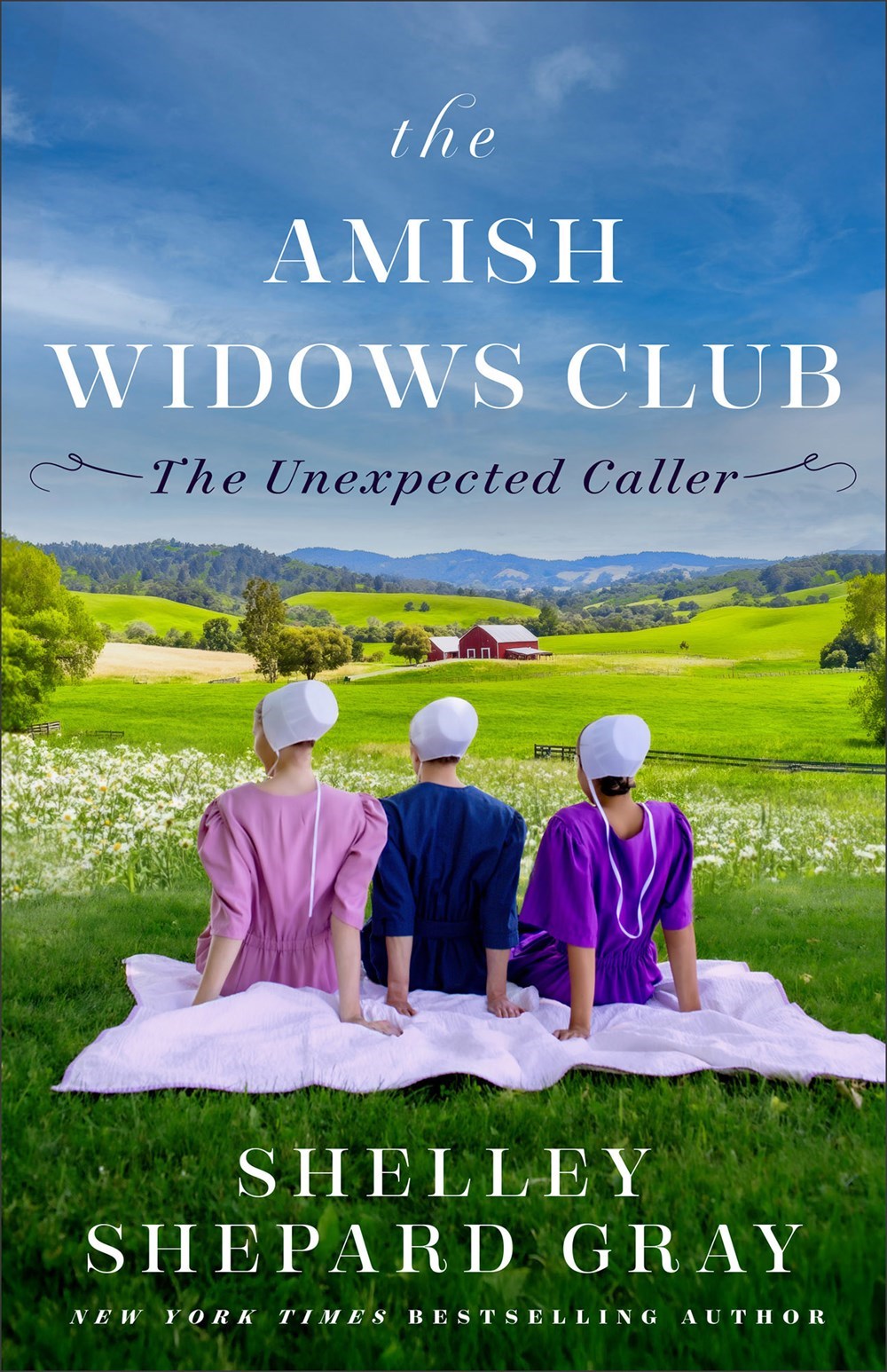 The Unexpected Caller (The Amish Widows Club #1)