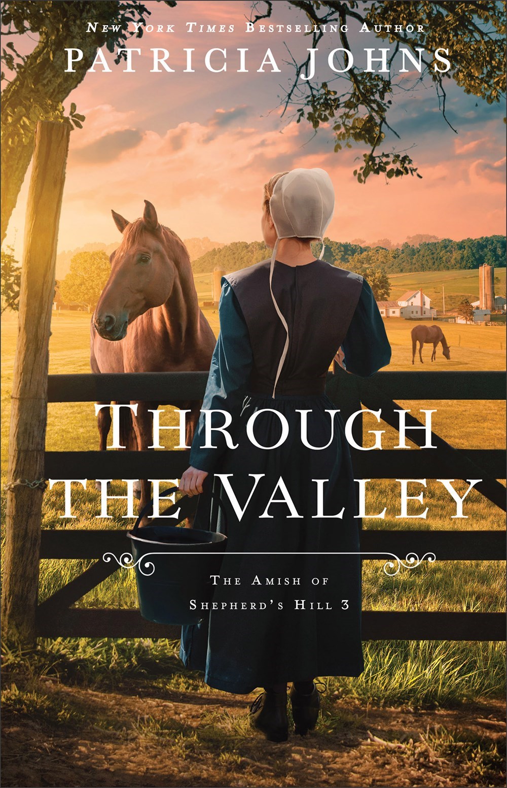 Through The Valley (The Amish of Shepherd's Hill #3)