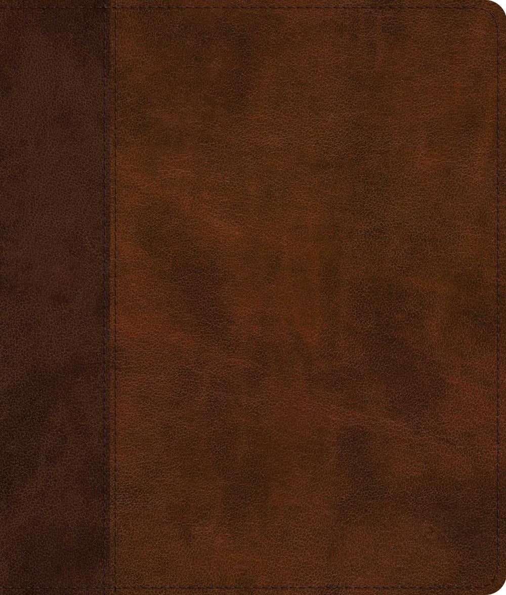 ESV Journaling Bible*-Brown/Tan  Timeless Design TruTone