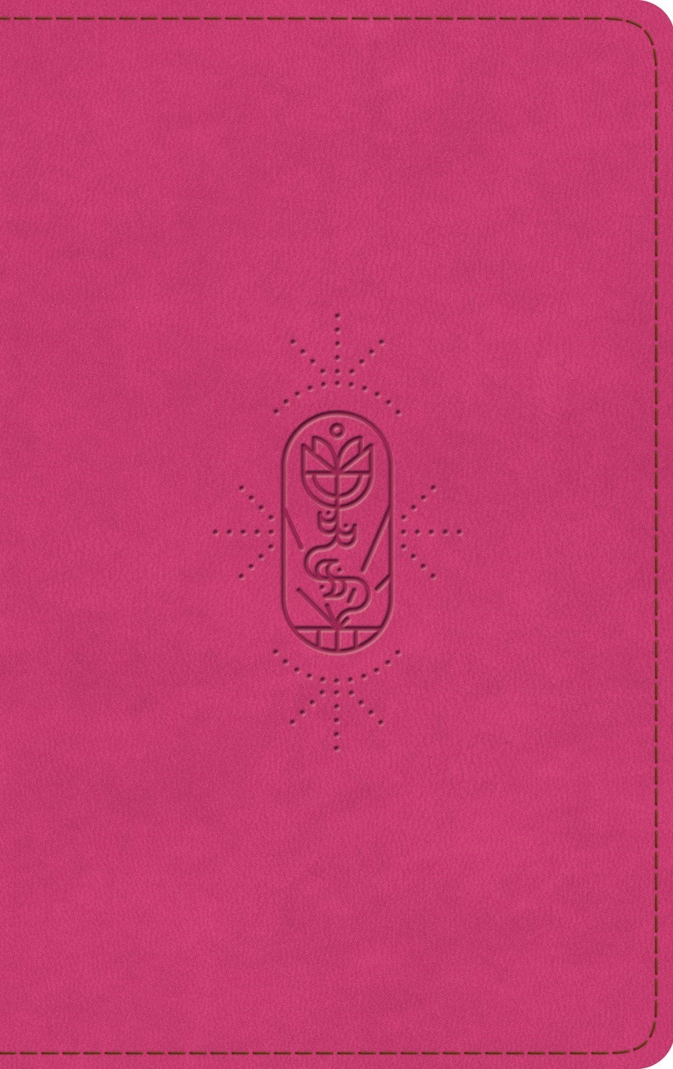 ESV Kid's Bible  Thinline (RL)*-Berry  The True Vine Design TruTone