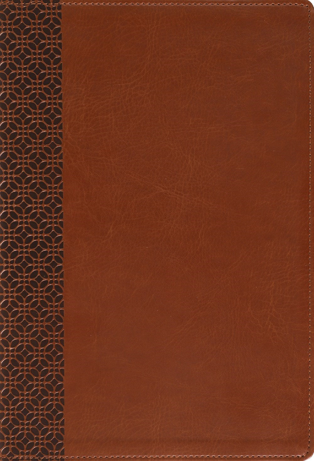 Amplified Holy Bible/Large Print-Brown Leathersoft