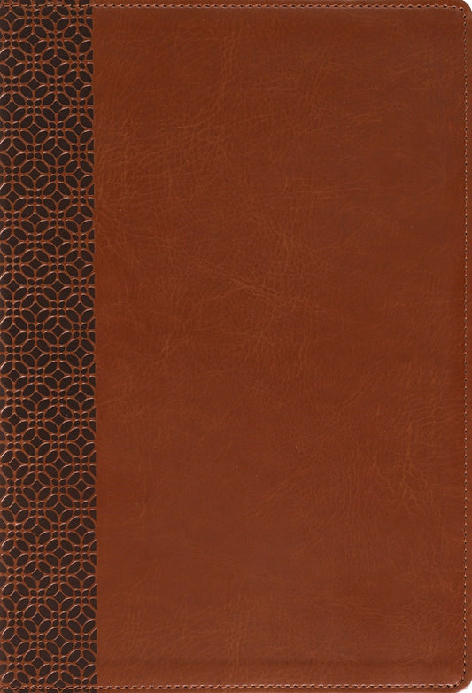 Amplified Holy Bible/Large Print-Brown Leathersoft