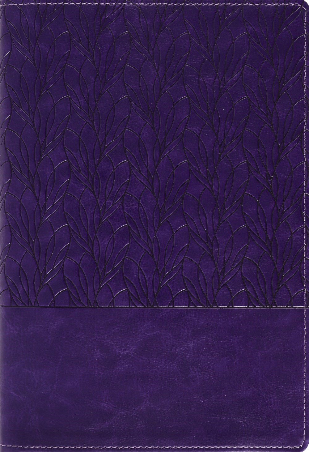 Amplified Holy Bible/Large Print-Purple Leathersoft