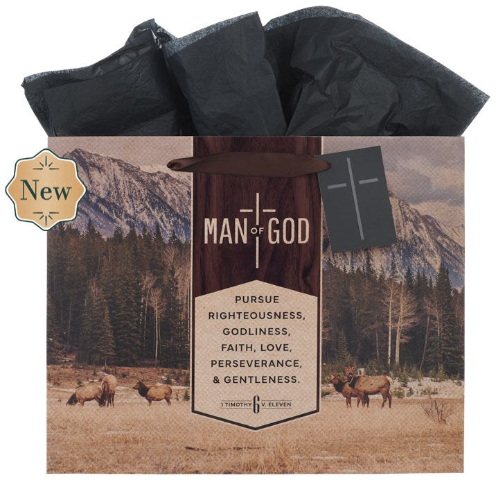 Gift Bag LG Landscape Man of God 1 Tim. 6:11