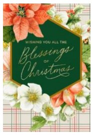 Boxed Card-Christmas-Marjolein Bastin Floral Blessings (Box Of 16)