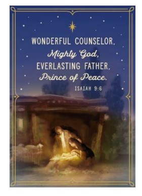 Boxed Card-Christmas-Wonderful Counselor (Box Of 16)