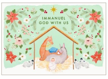 Boxed Card-Christmas-Poinsettia Nativity (Box Of 16)