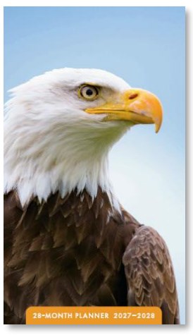 2027 Eagles 28-Month Planner
