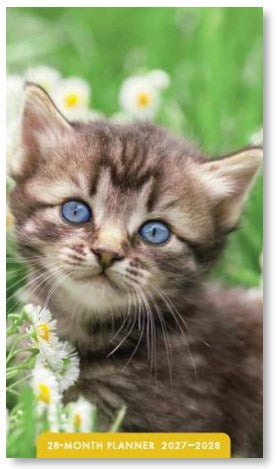 2027 Kittens 28-Month Planner