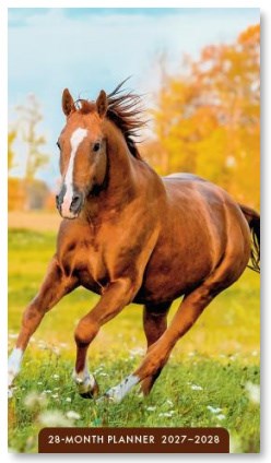 2027 Horses 28-Month Planner