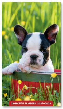 2027 Puppies 28-Month Planner
