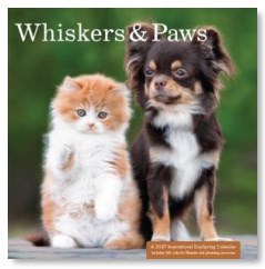 2027 Mini Wall Calendar-Whiskers & Paws