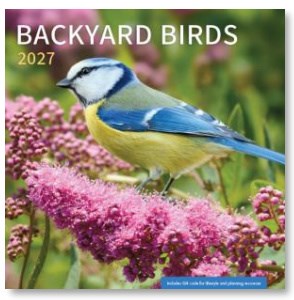 2027 Mini Wall Calendar-Backyard Birds