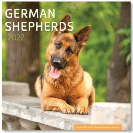 2027 Wall Calendar-German Shepherds