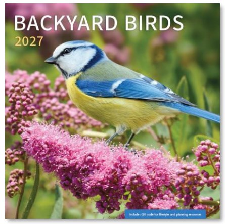 2027 Wall Calendar-Backyard Birds