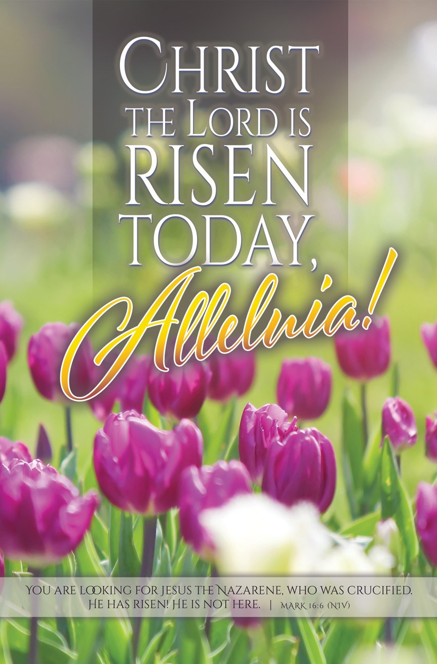 Bulletin-Easter-Christ the Lord Is Risen Today Mark 16:6 NIV  (Pack of 100)