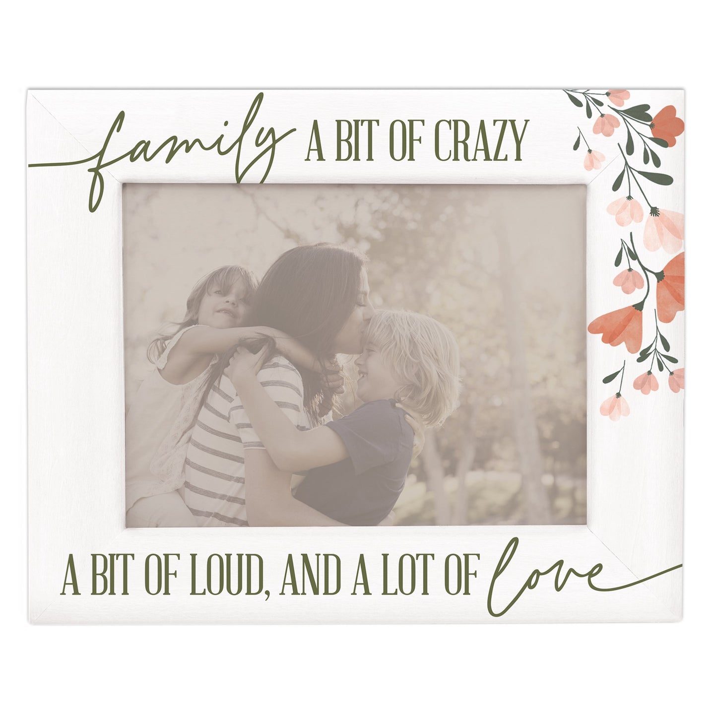 Framed Moments-Family Bit Of Crazy (9.25"" x 7.25"")