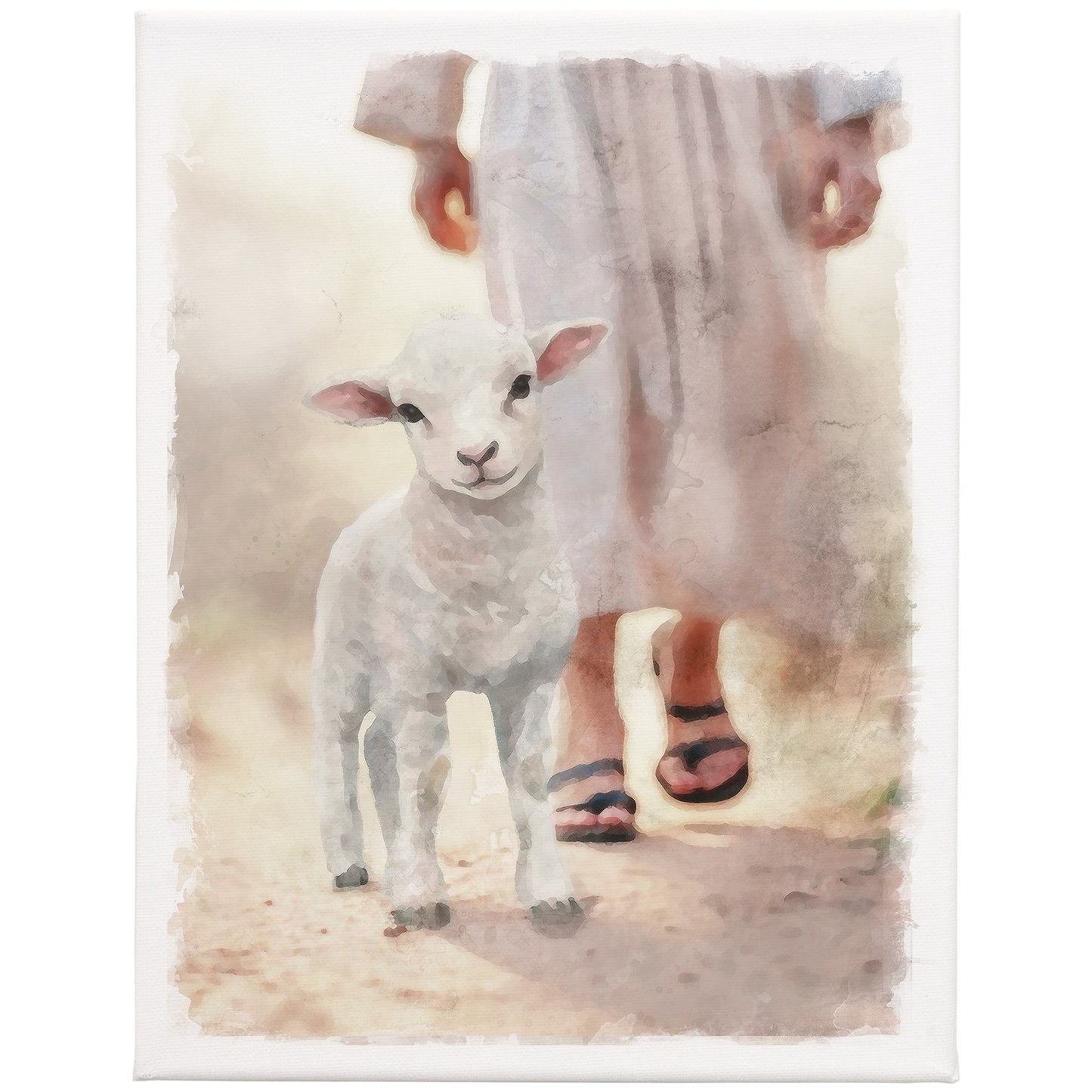 Wrapped Canvas-Lamb Walking On Path (9"" x 12"")