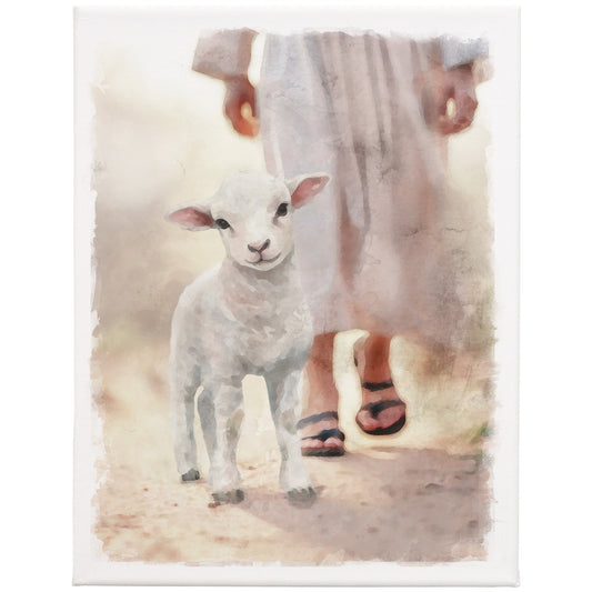 Wrapped Canvas-Lamb Walking On Path (9"" x 12"")