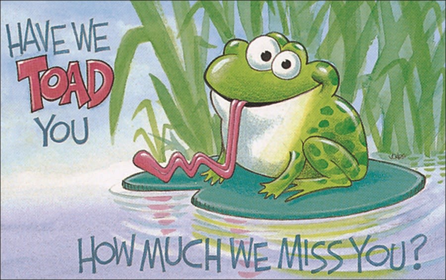 Postcard-Have We Toad You How Much We Miss You/Toad (Titus 3:15 NIV) (Pack Of 25)