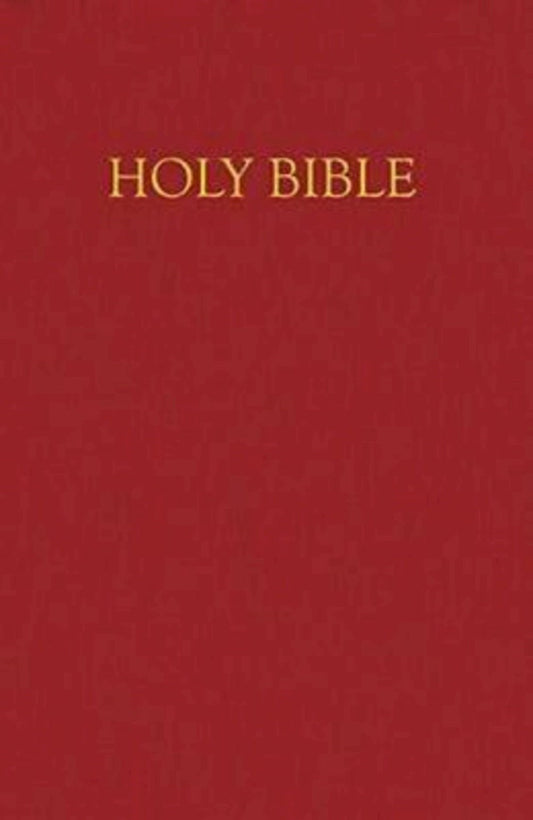 NRSV Children's Deluxe Gift Bible-Burgundy Imitation Leather