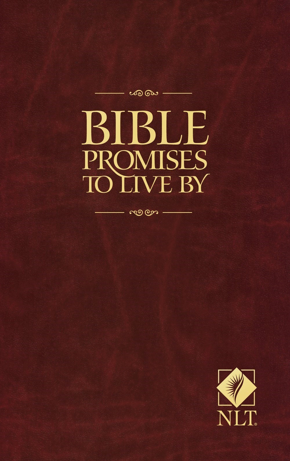 Bible Promises To Live By (NLT)