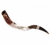 Shofar-Yemenite-Blow The Trumpet In Zion Ceremonial Silver Plated-(#1117)