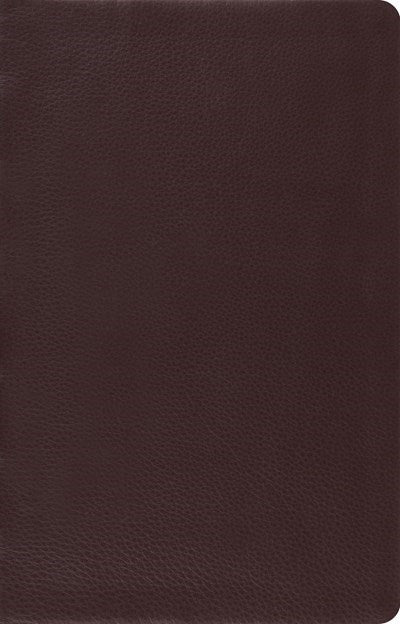 ESV Large Print Thinline Reference Bible-Brown Top Grain Leather