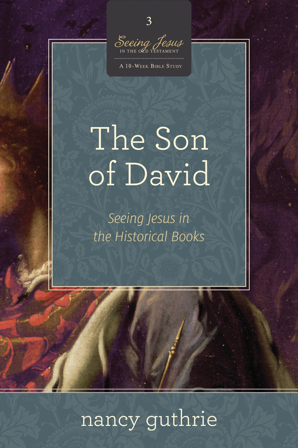 The Son Of David (Seeing Jesus In The Old Testament V3)