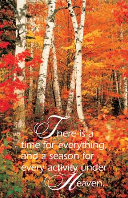 Bulletin-There Is A Time For Everything  And A Season For Every Activity Under The Heavens (Ecclesiastes 3:1) (Pack Of 1