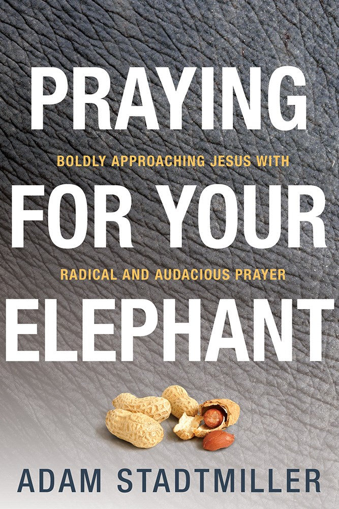 Praying For Your Elephant