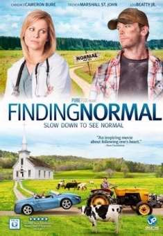 DVD-Finding Normal