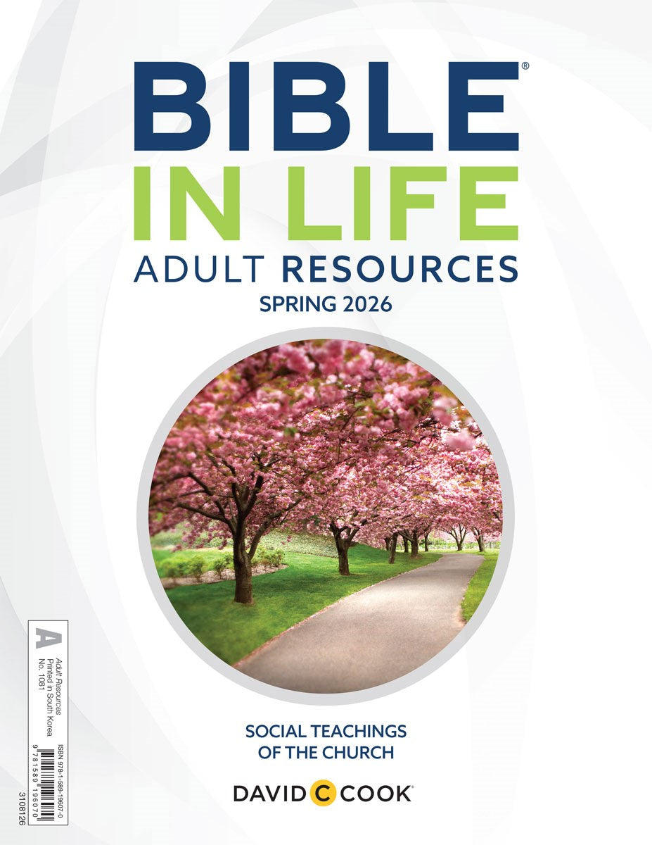 Bible-In-Life/Reformation Press Spring 2026: Adult Comprehensive Bible Study Creative Teaching Aids (#1081)