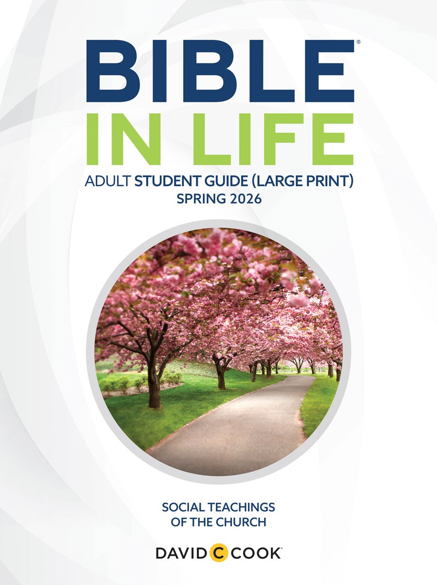 Bible-In-Life/Reformation Press Spring 2026: Adult Comprehensive Bible Study Large Print Student Book (#1087)