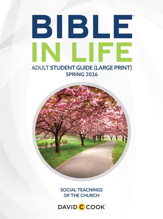 Bible-In-Life/Reformation Press Spring 2026: Adult Comprehensive Bible Study Large Print Student Book (#1087)