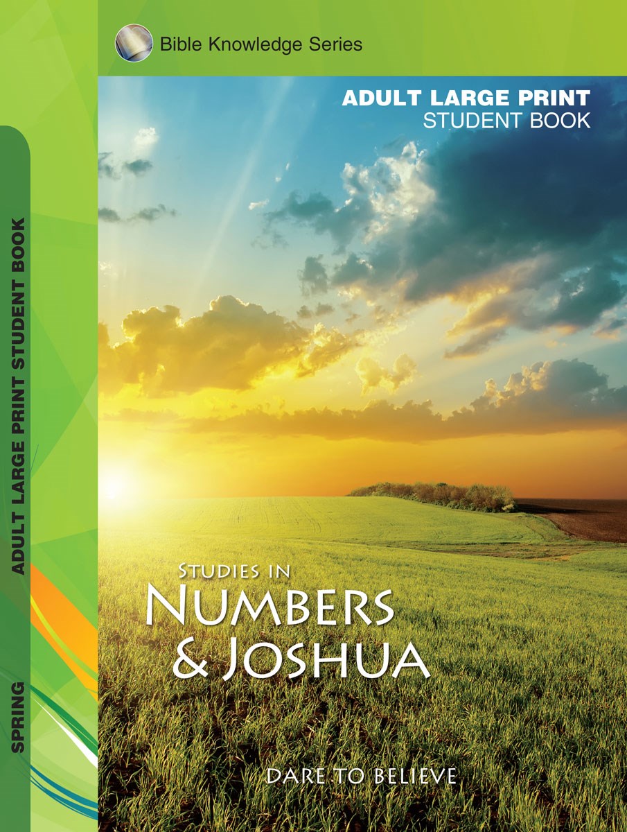 Accent/Scripture Press Spring 2026: Adult Bible Knowledge Series (KJV) Large Print Student Guide (#4087 7087)