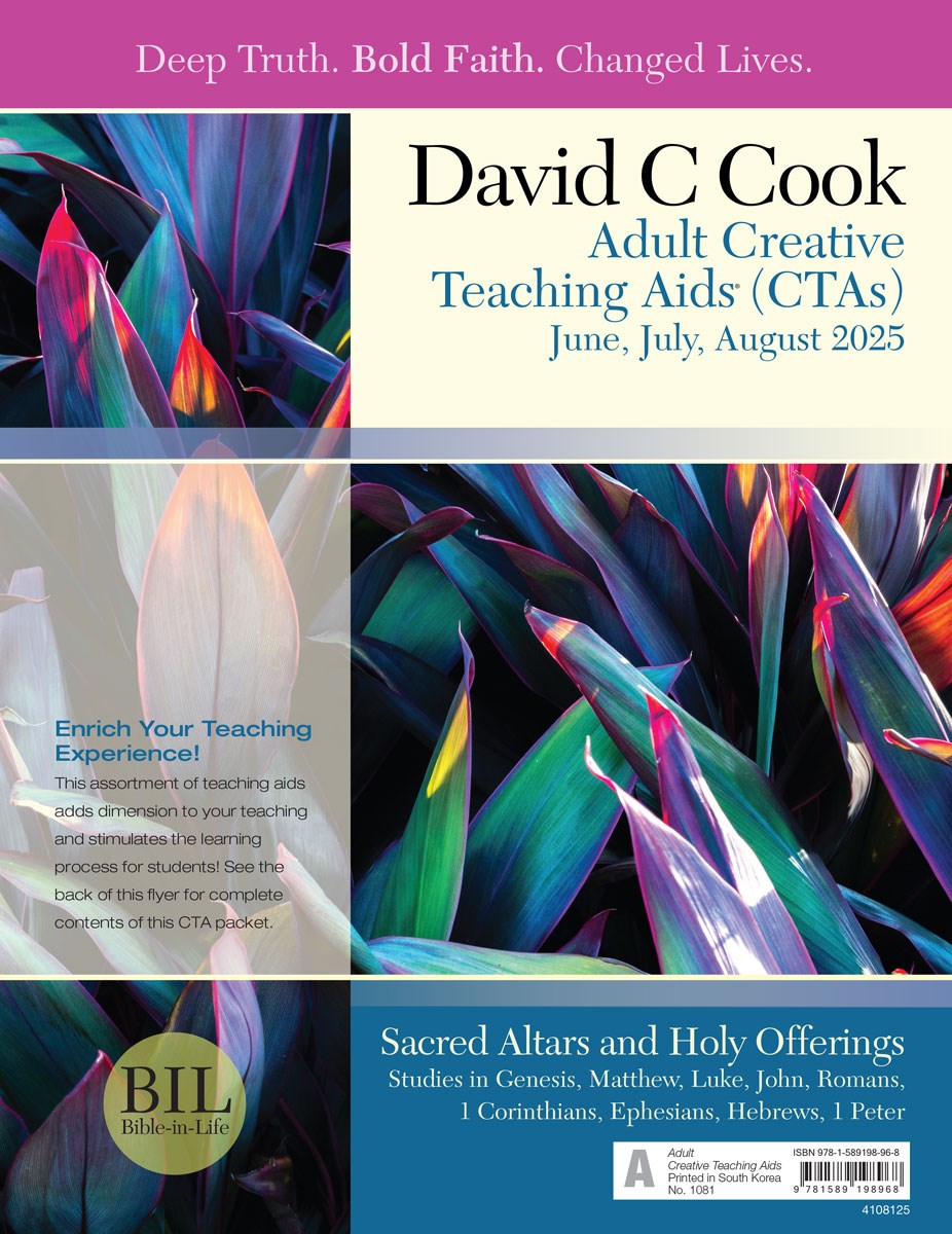 Bible-In-Life/Reformation Press Summer 2025: Adult Comprehensive Bible Study Creative Teaching Aids (#1081)