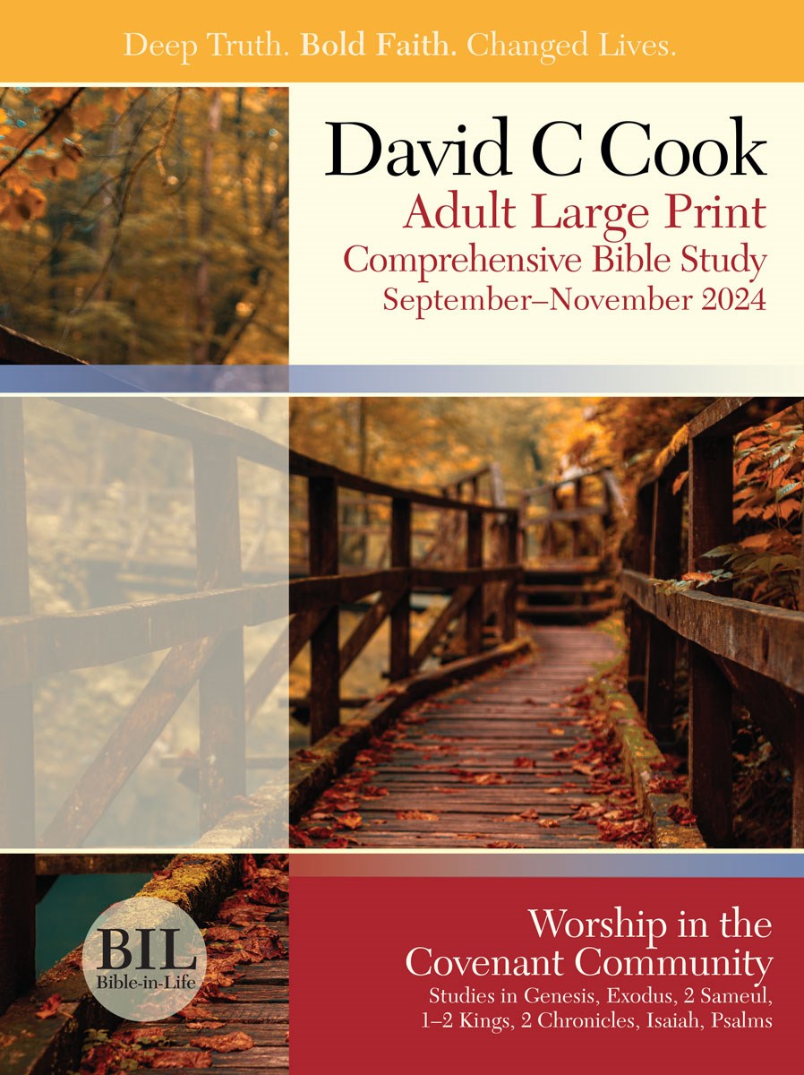 Bible-In-Life/Reformation Press Fall 2025: Adult Comprehensive Bible Study Large Print Student Book (#1087)