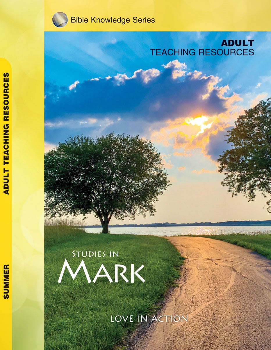 Accent/Scripture Press Summer 2025: Adult Bible Knowledge Series Teaching Resources (KJV) (#4081 7081)