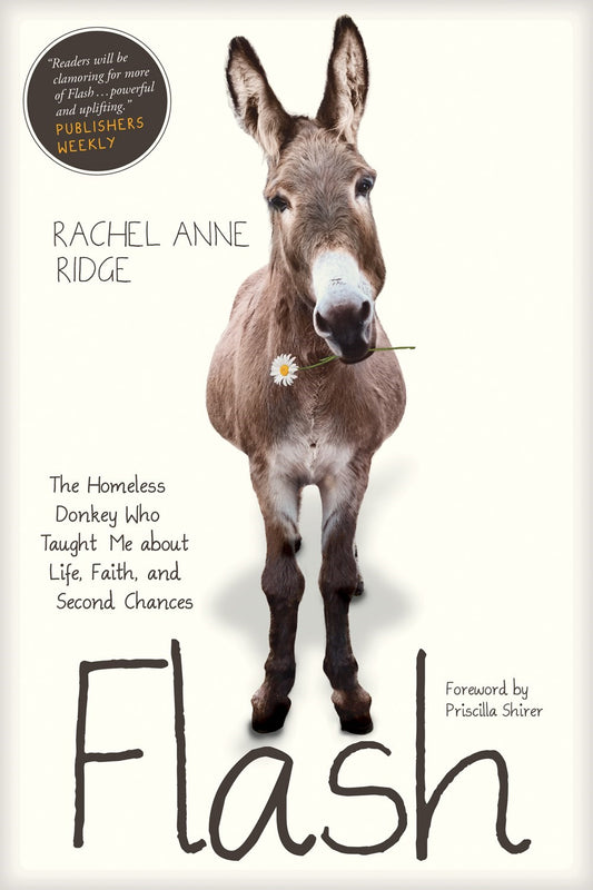 Flash: The Homeless Donkey Who Taught Me About Life  Faith  And Second Chances