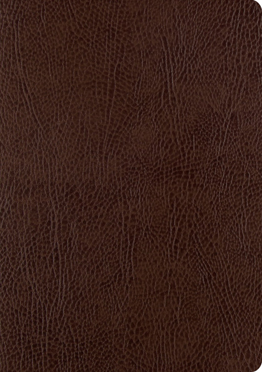 ESV Single Column Journaling Bible/Large Print-Mocha Bonded Leather