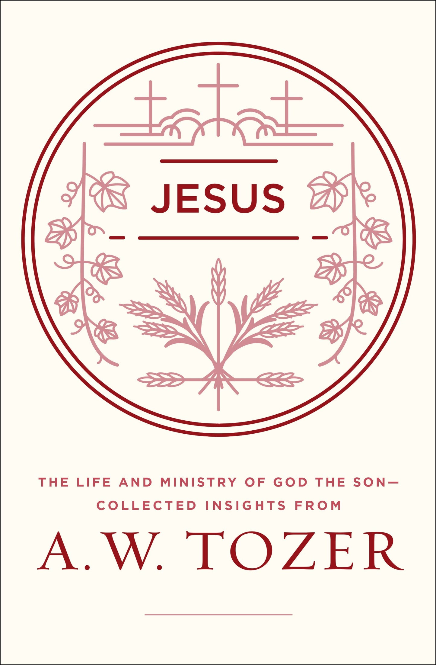 Jesus: The Life And Ministry Of God The Son