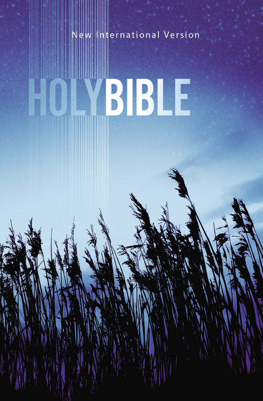 NIV Value Outreach Bible-Blue Wheat Softcover