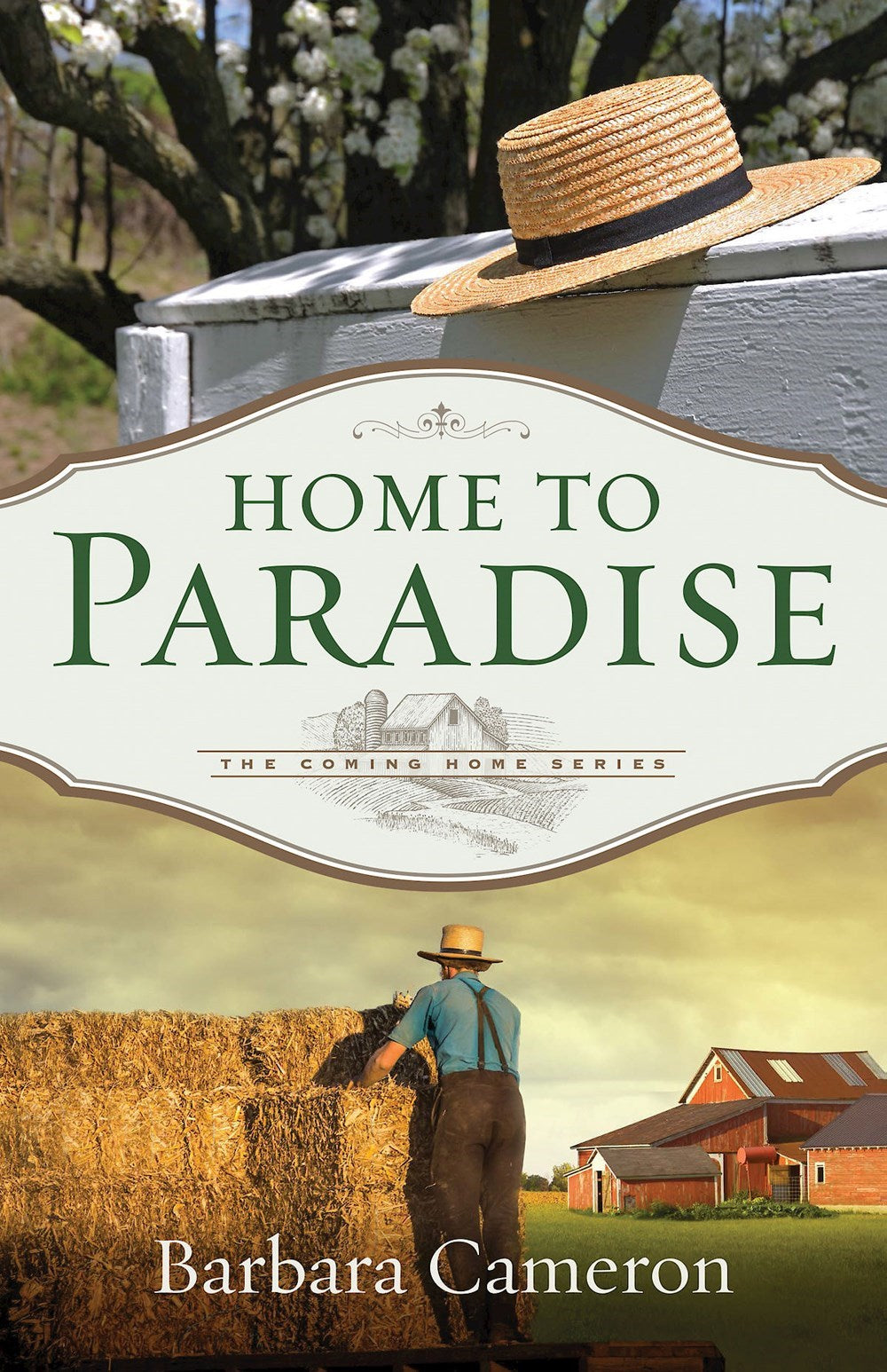 Home To Paradise (Coming Home Series #3)