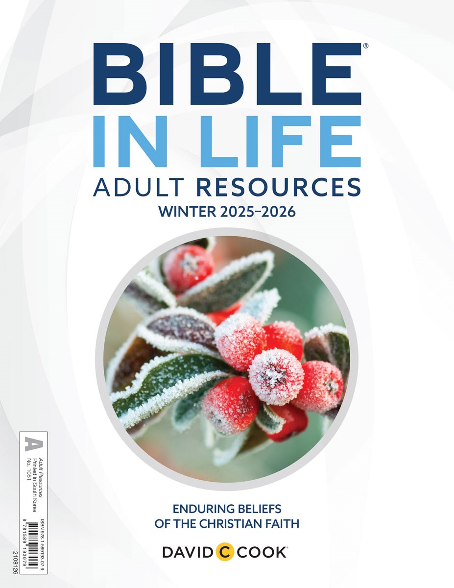 Bible-In-Life/Reformation Press Winter 2025-2026: Adult Comprehensive Bible Study Creative Teaching Aids (#1081)