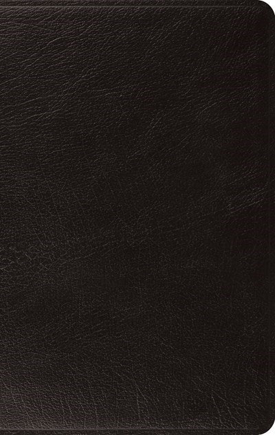 ESV Large Print Thinline Bible-Black Genuine Leather