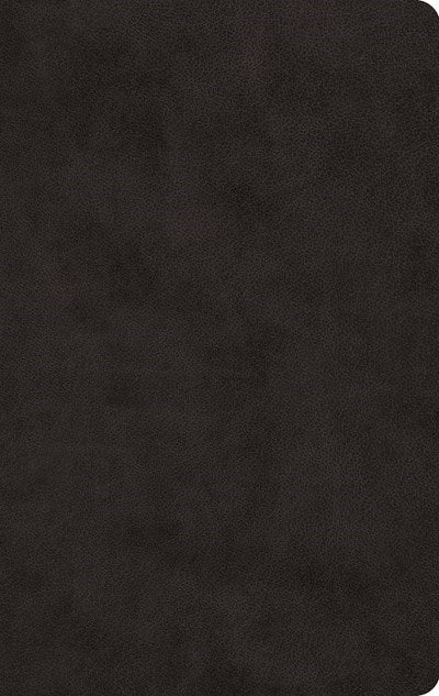ESV Large Print Value Thinline Bible-Black TruTone