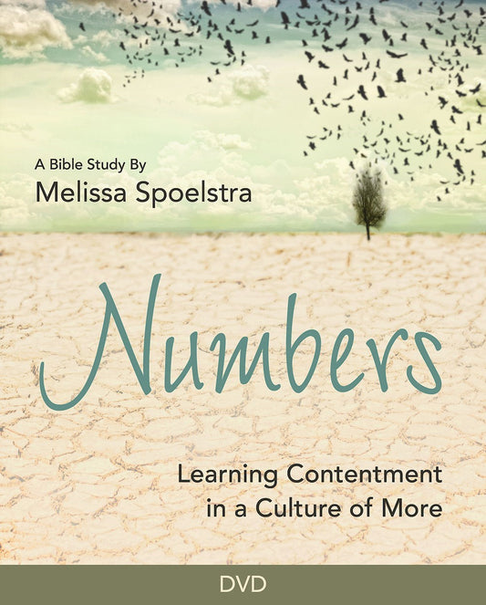 DVD-Numbers: Learning Contentment In A Culture Of More