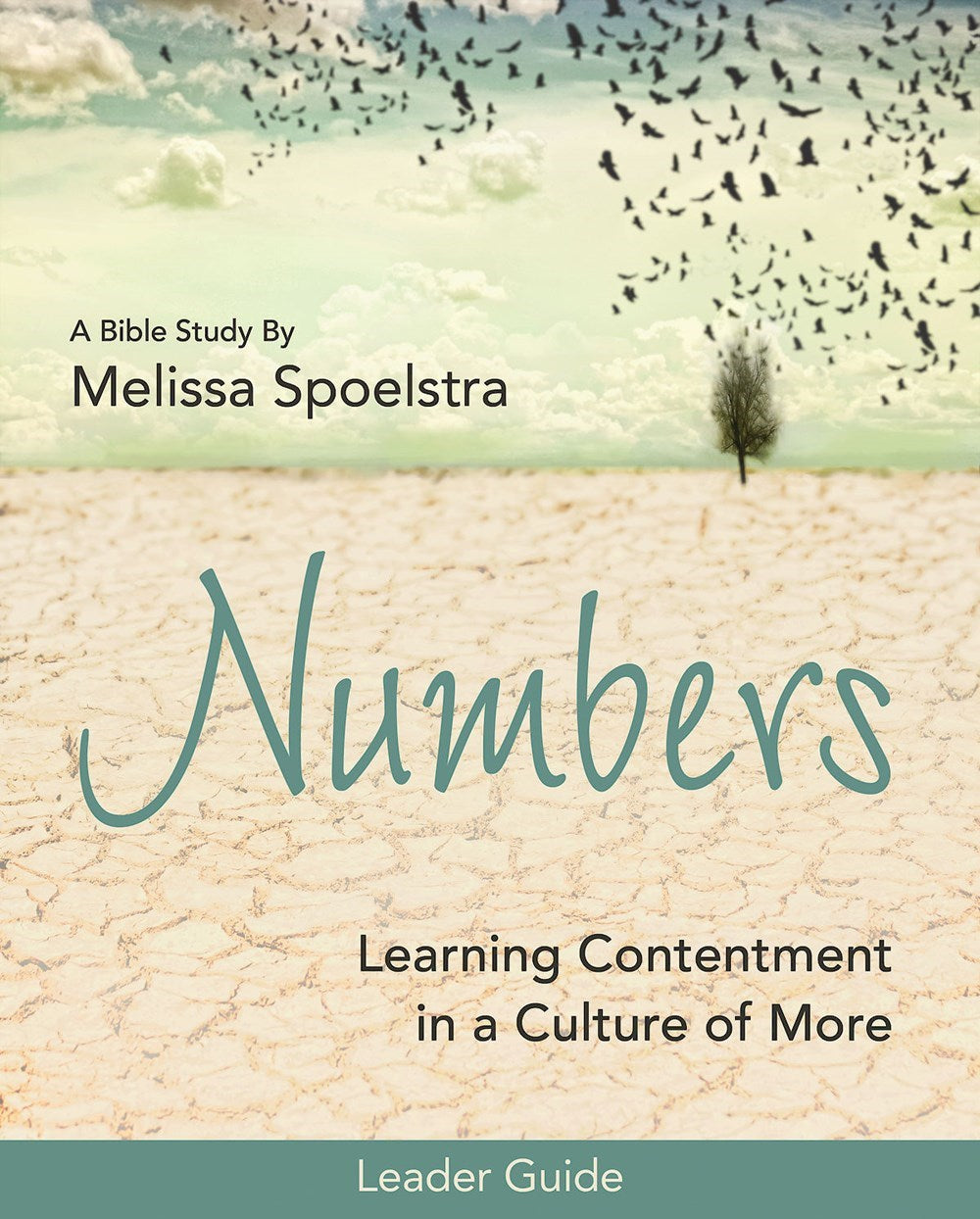 Numbers: Women's Bible Study Leader Guide